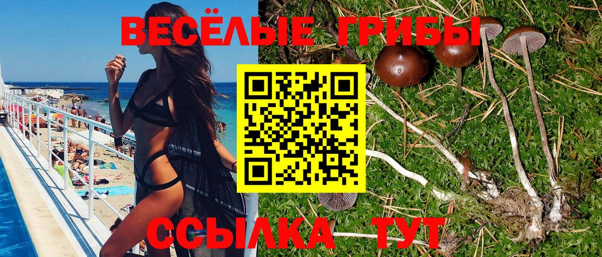 купить наркотики цена  Галлюциногенные грибы мухоморы  Вход с VPN  Красный Сулин 