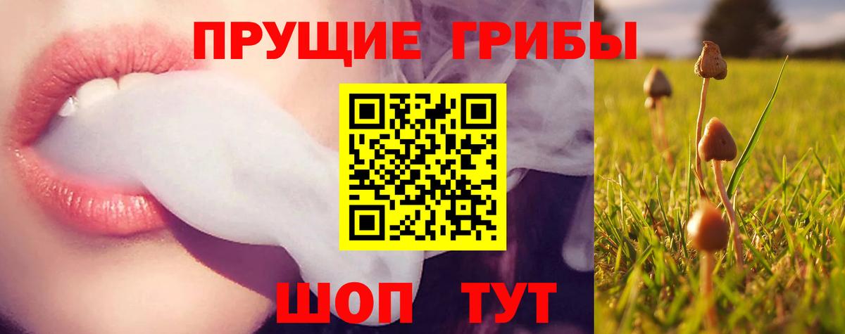 Галлюциногенные грибы Psilocybine cubensis Красный Сулин